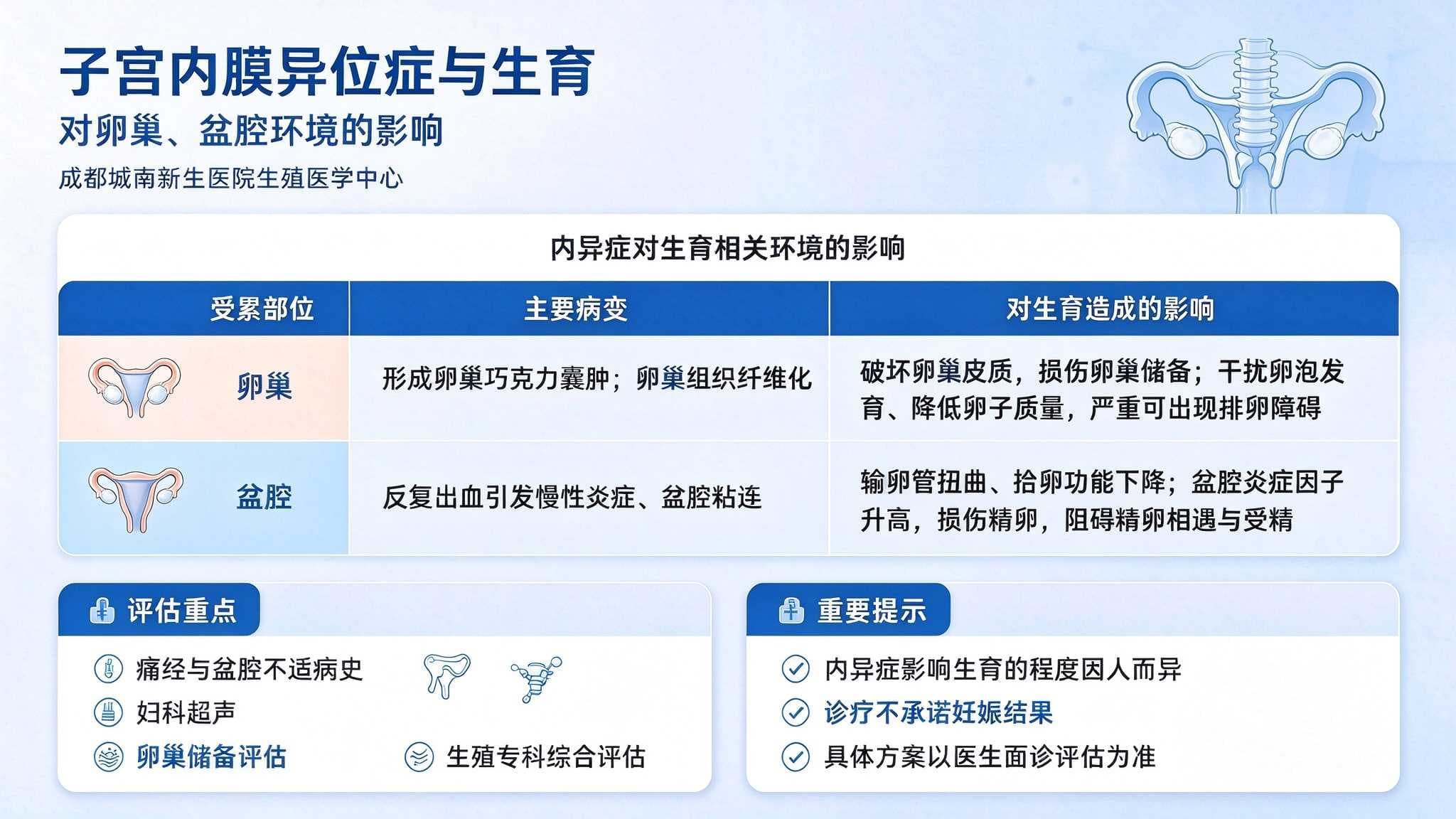 子宫内膜异位症与生育：对卵巢、盆腔环境的影响——成都城南新生医院