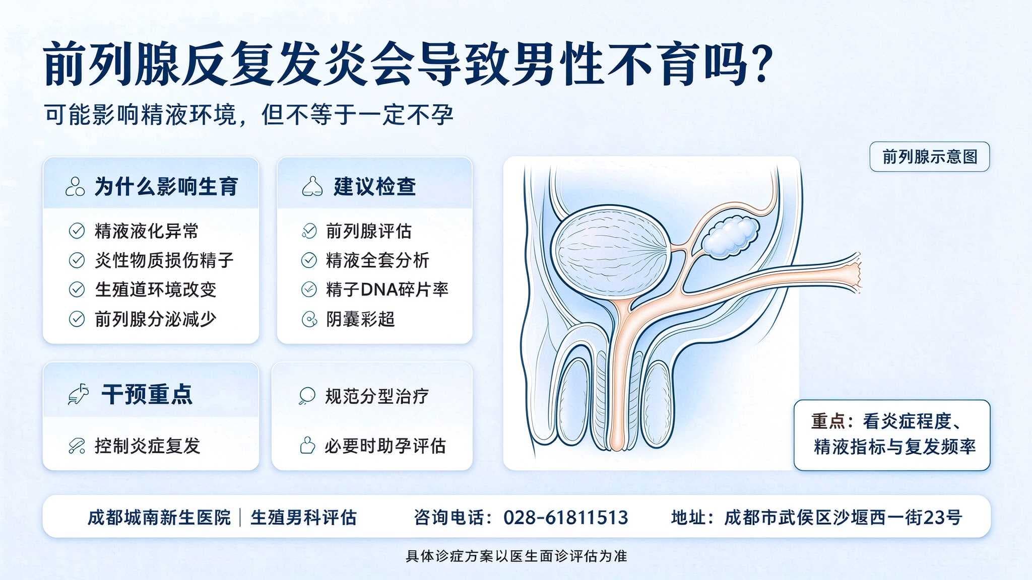 前列腺反复发炎会导致男性不育吗？-- 成都生殖男科备孕指南