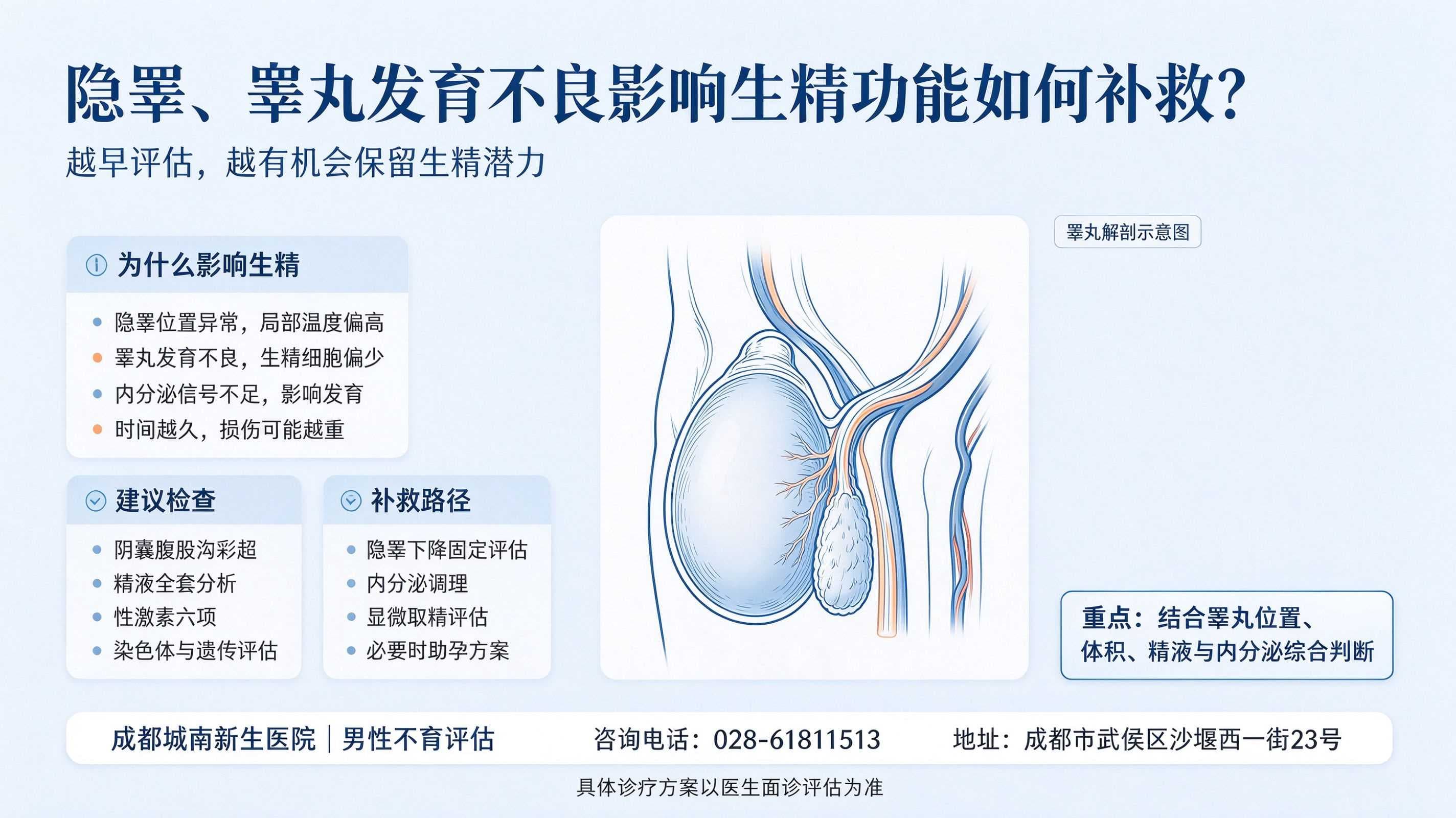 隐睾、睾丸发育不良影响生精功能如何补救？-- 成都男性不育科普