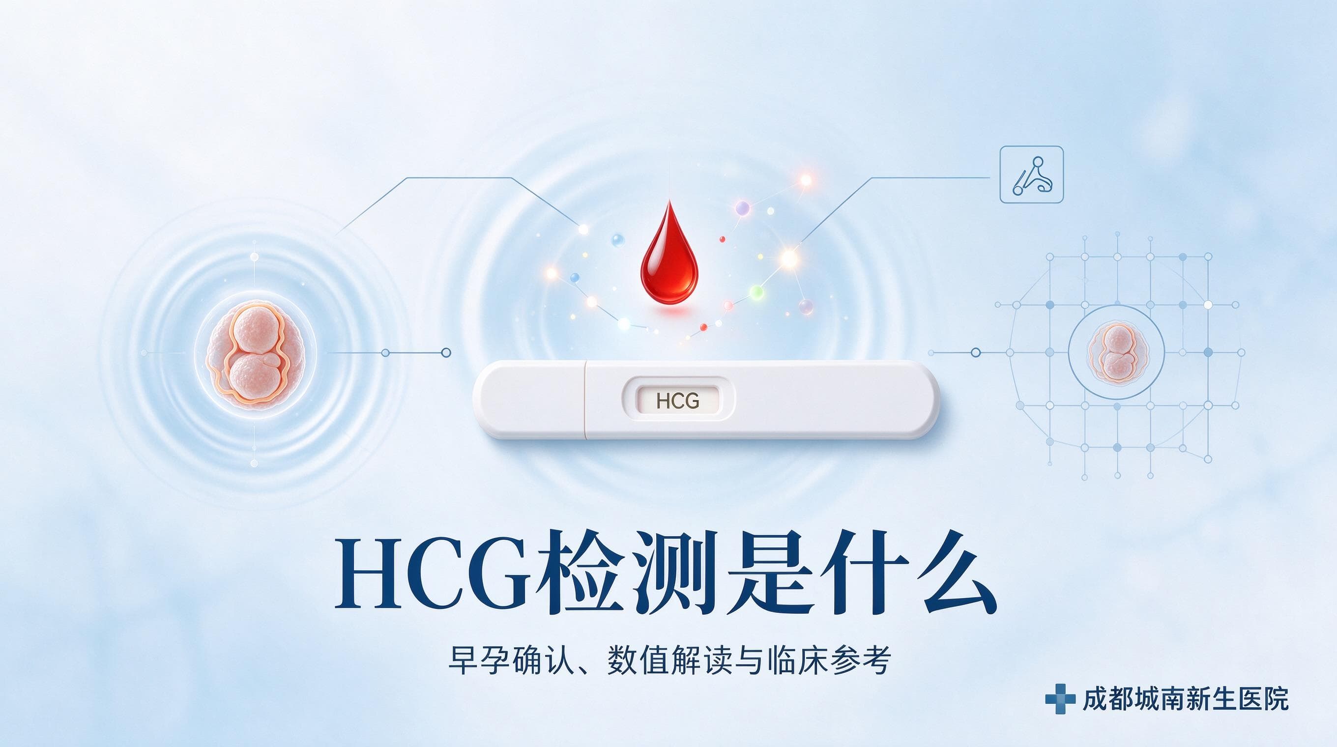 读懂 HCG 检测:早早孕、胚胎发育与异常妊娠的判断依据