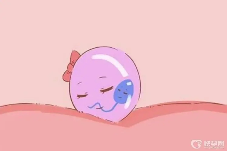 不排卵是否为女性不孕的“充分”条件？