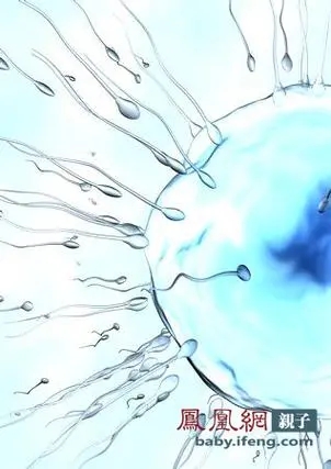 怎样看男人的精子精液是否正常？