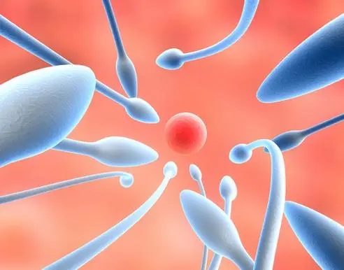来了解一下无精症的患者病情