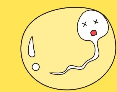 男性检查出无精子症该怎么办?