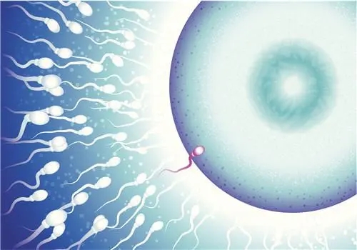 引起精液不液化的原因有哪些?