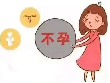 为何月经不调会导致女性不孕